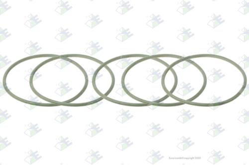 Anillo O-ring 69x3(verde)