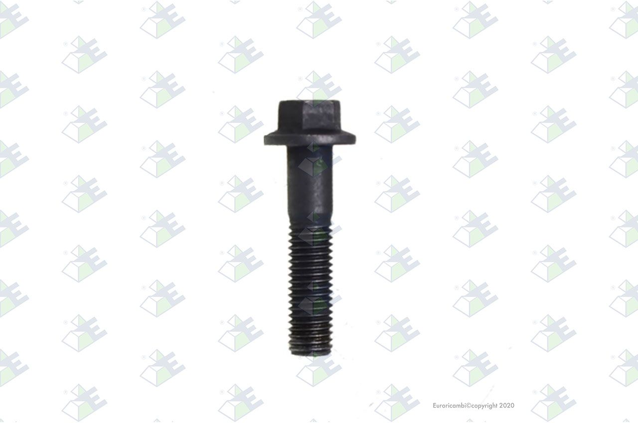 Tornillo t.e. m12×55