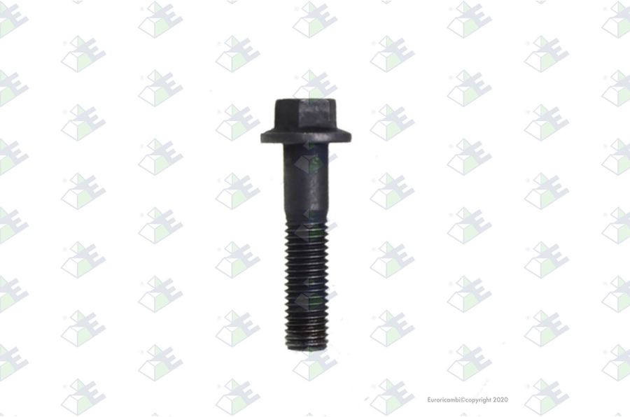 Tornillo t.e. m12×55