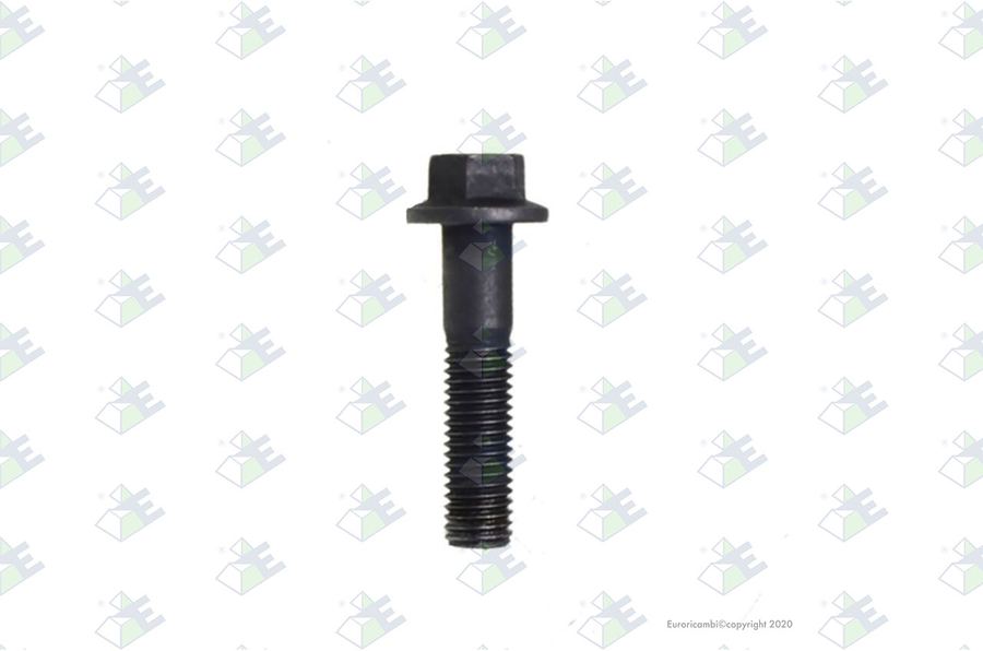 Tornillo t.e. m12×55