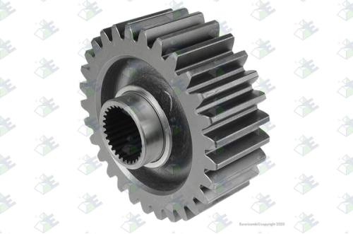Corona 29 dientes
