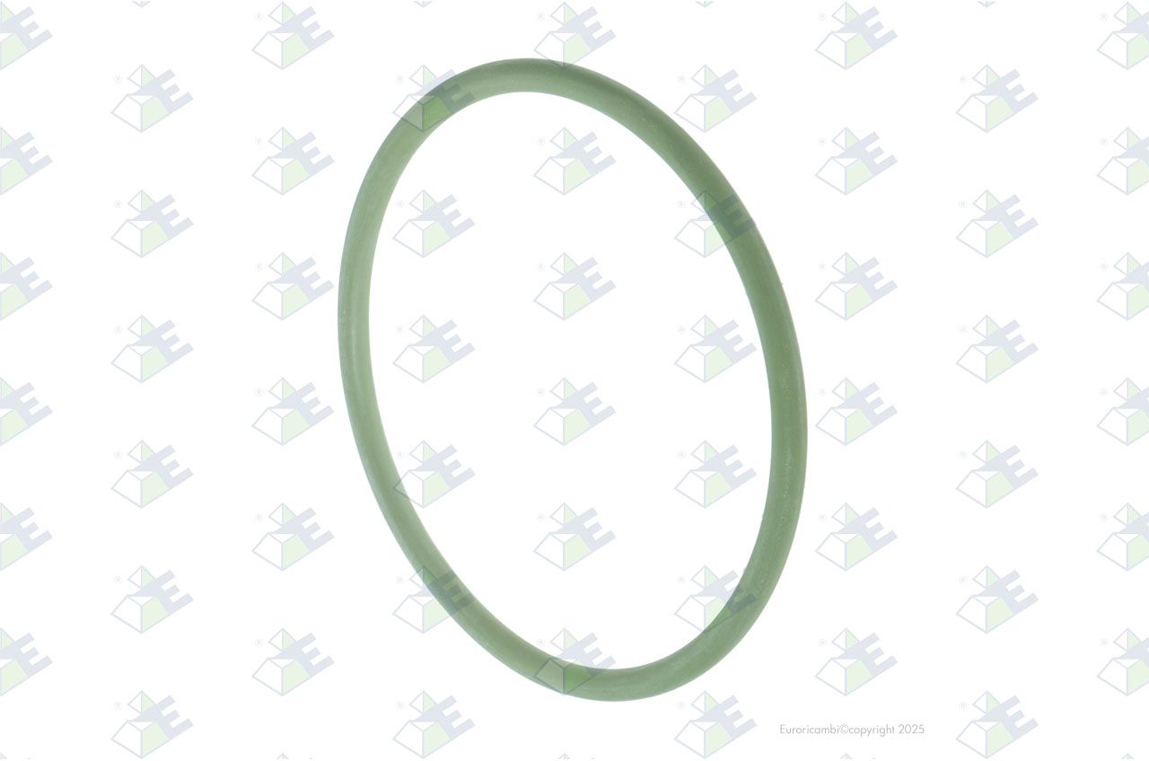 O-ring d.99.1x5.7
