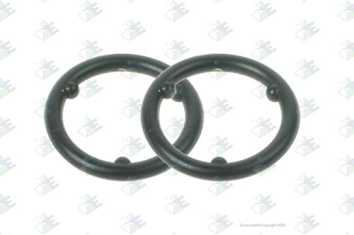 Anillo O-ring 13×2
