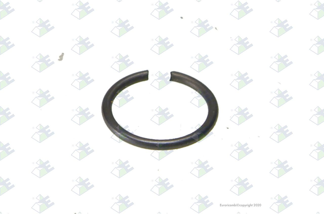 Anillo elástico