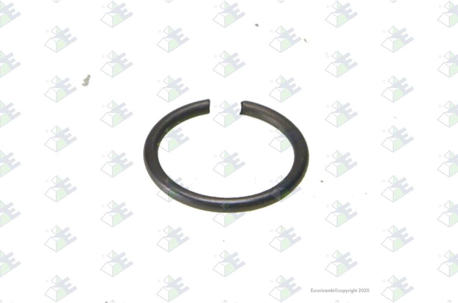 Anillo elástico