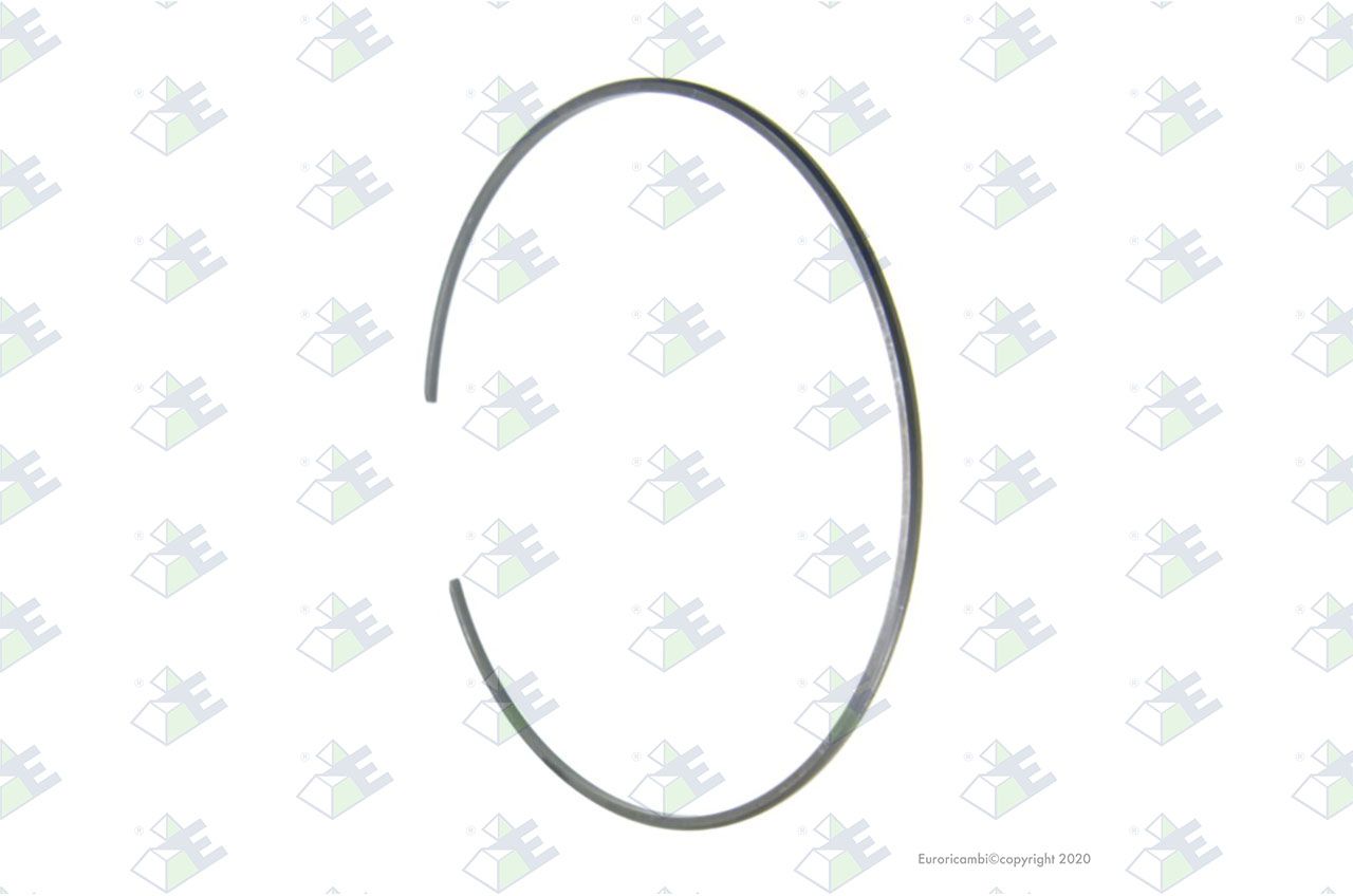 Anillo elástico