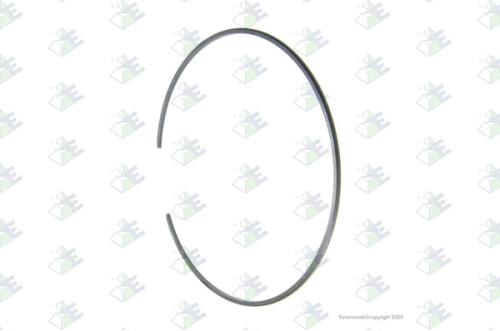 Anillo elástico