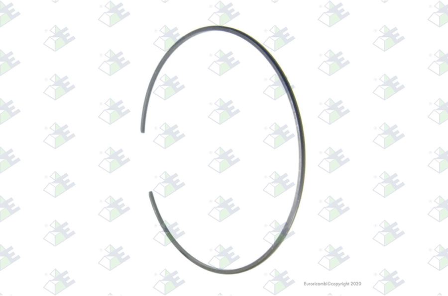 Anillo elástico
