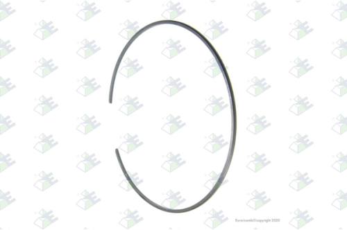 Anillo elástico