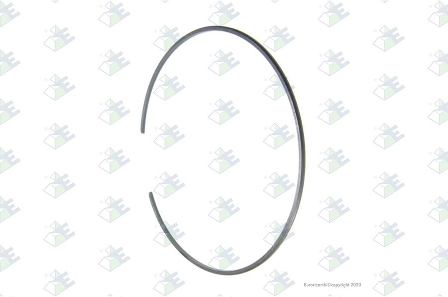 Anillo elástico