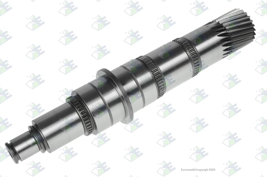 Árbol primario 23 dientes
