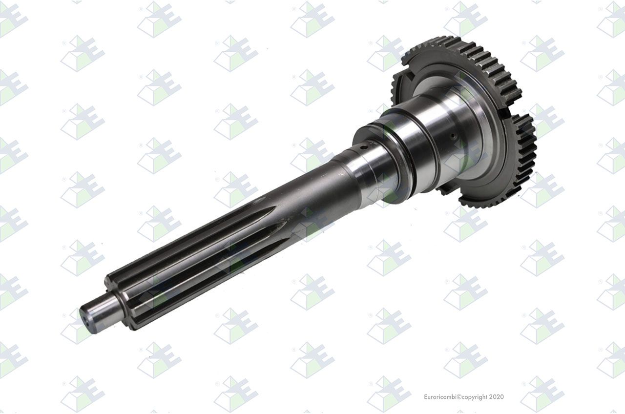 Árbol de entrada 57 dientes