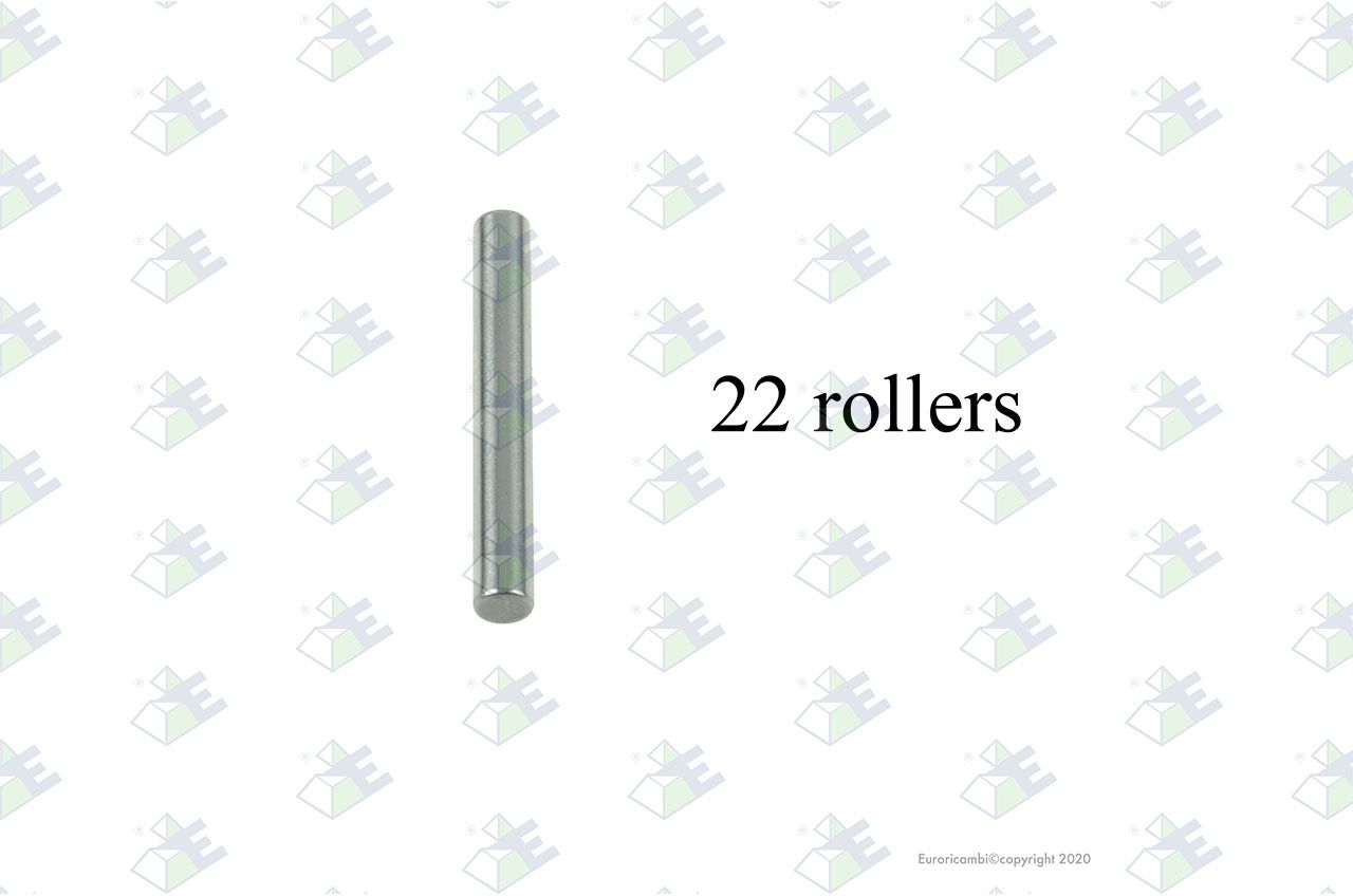 Juego rodillos (22 pzas)