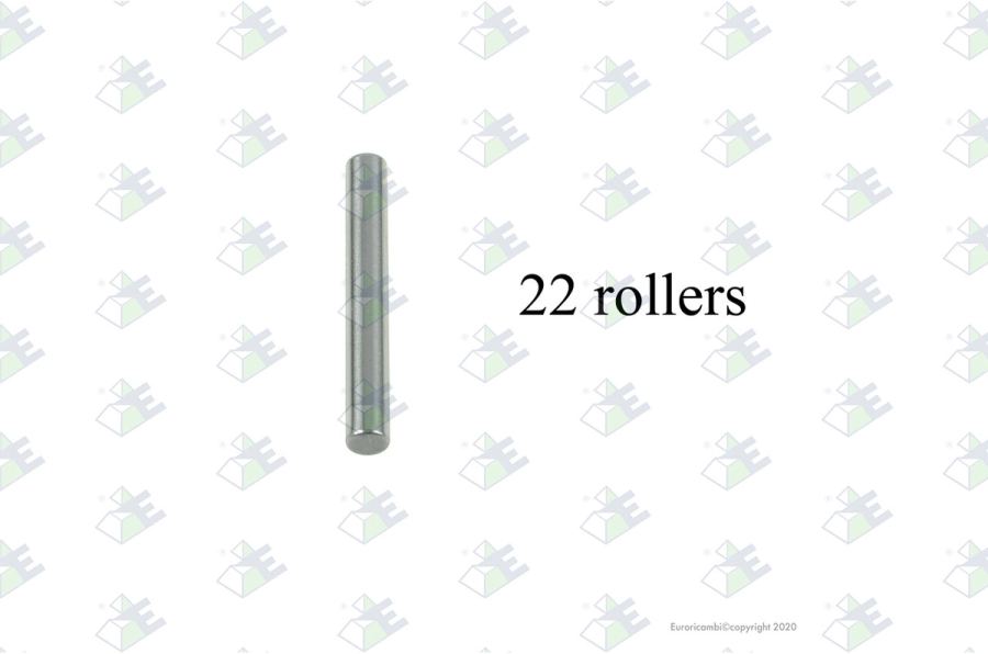 Juego rodillos (22 pzas)