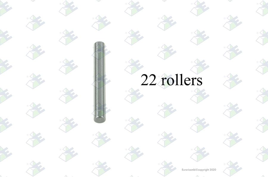 Juego rodillos (22 pzas)