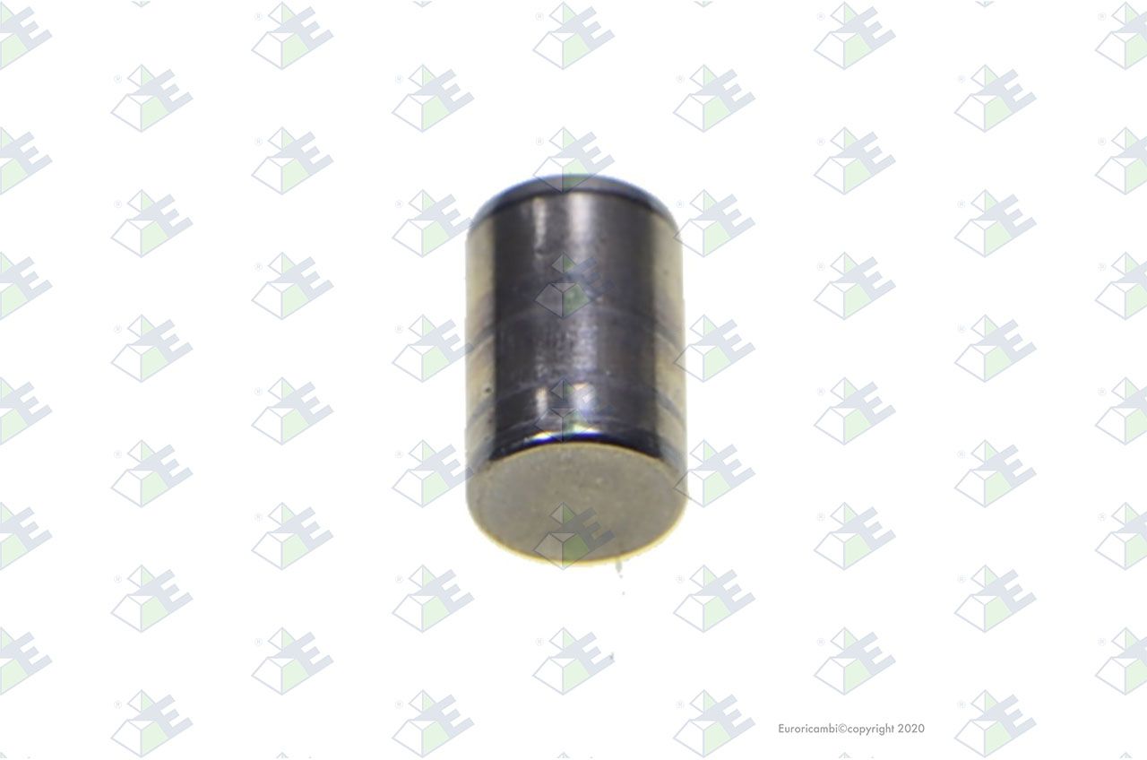 Rodillo d.8x12 t.p