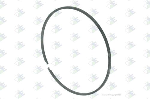 Anillo 95x100x2.2 mm