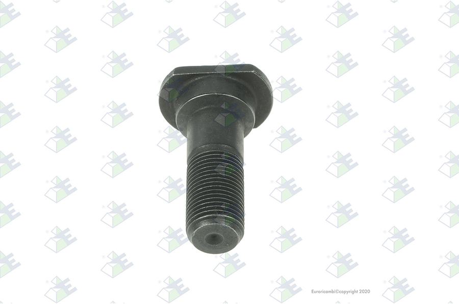 Tornillo d.17 mm