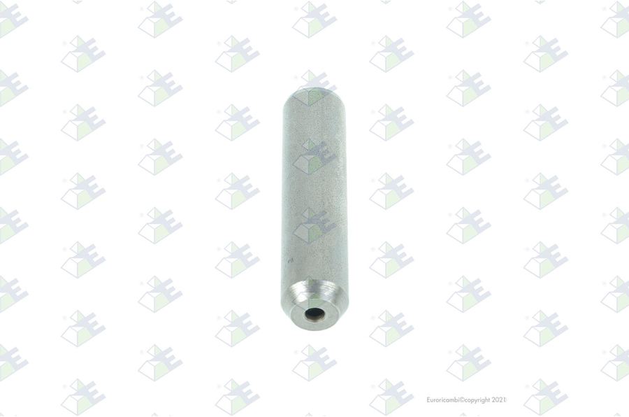 Tubo