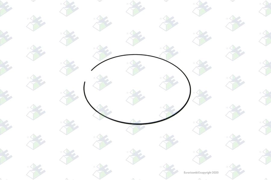 Anillo de retención