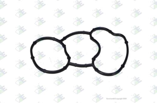 Anillo O-ring