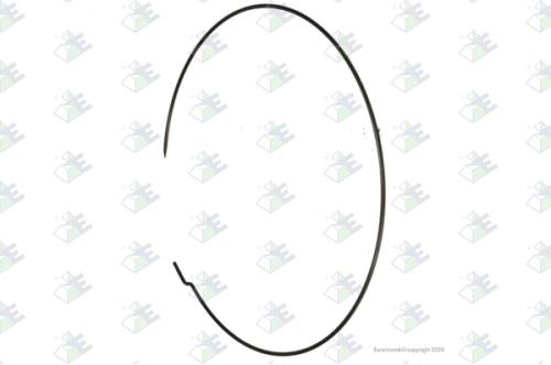 Anillo seguro
