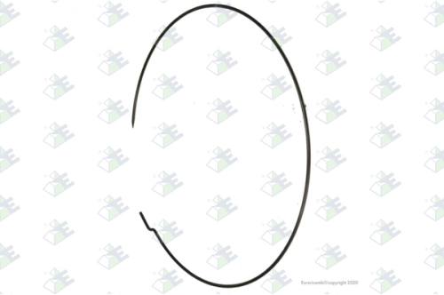 Anillo seguro