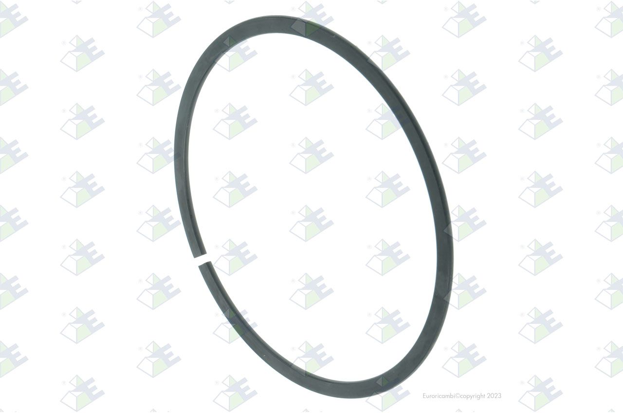 Anillo elástico 100×2