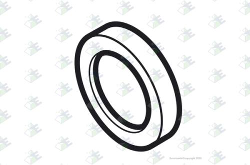 Anillo