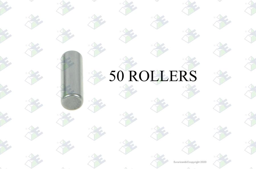 Juego rodillos (50 pzas)