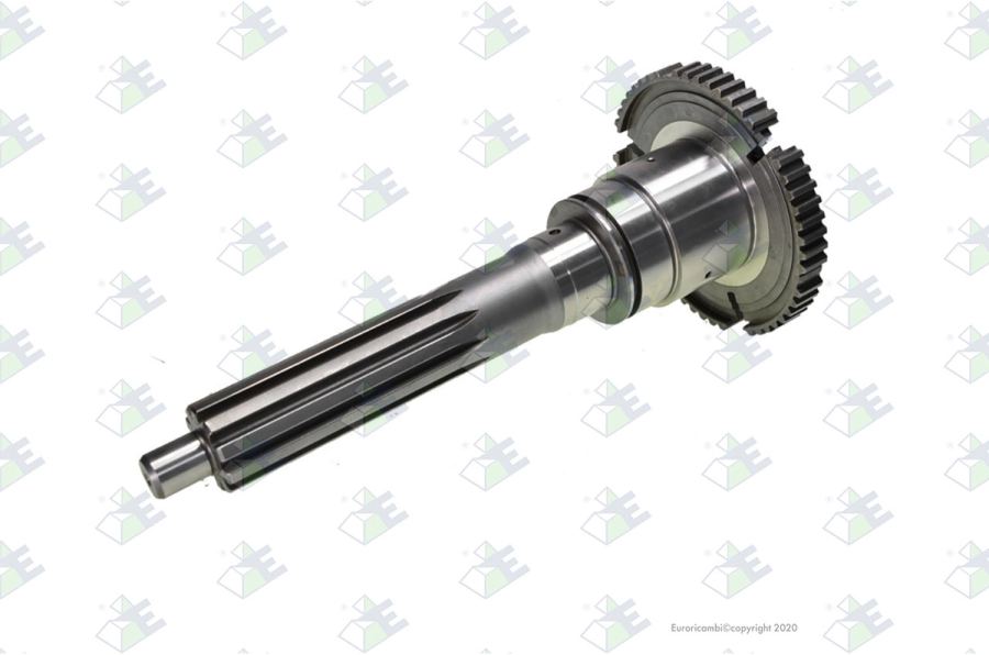 Árbol de entrada 57 dientes