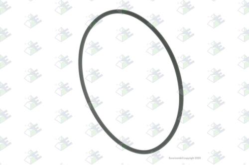 Anillo O-ring 99.5x3