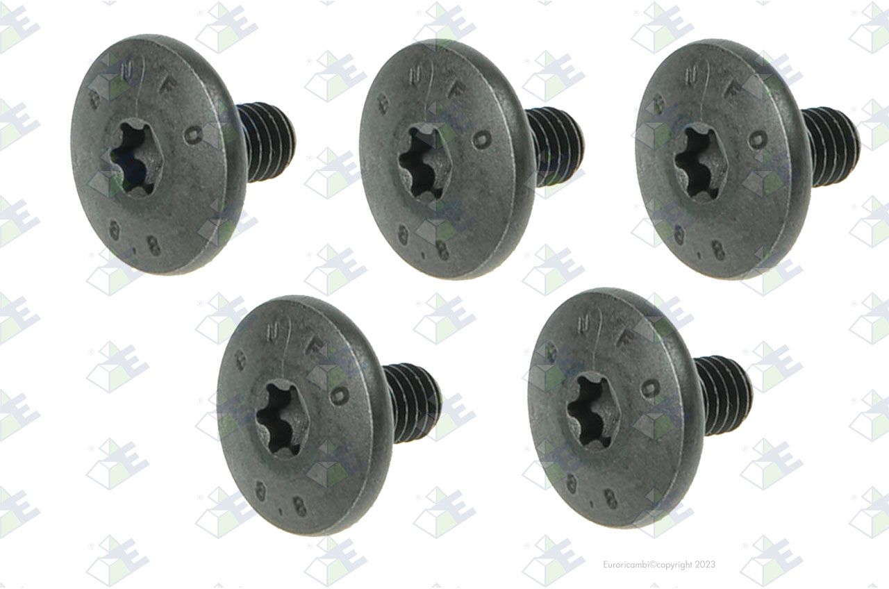 Tornillo m6×11
