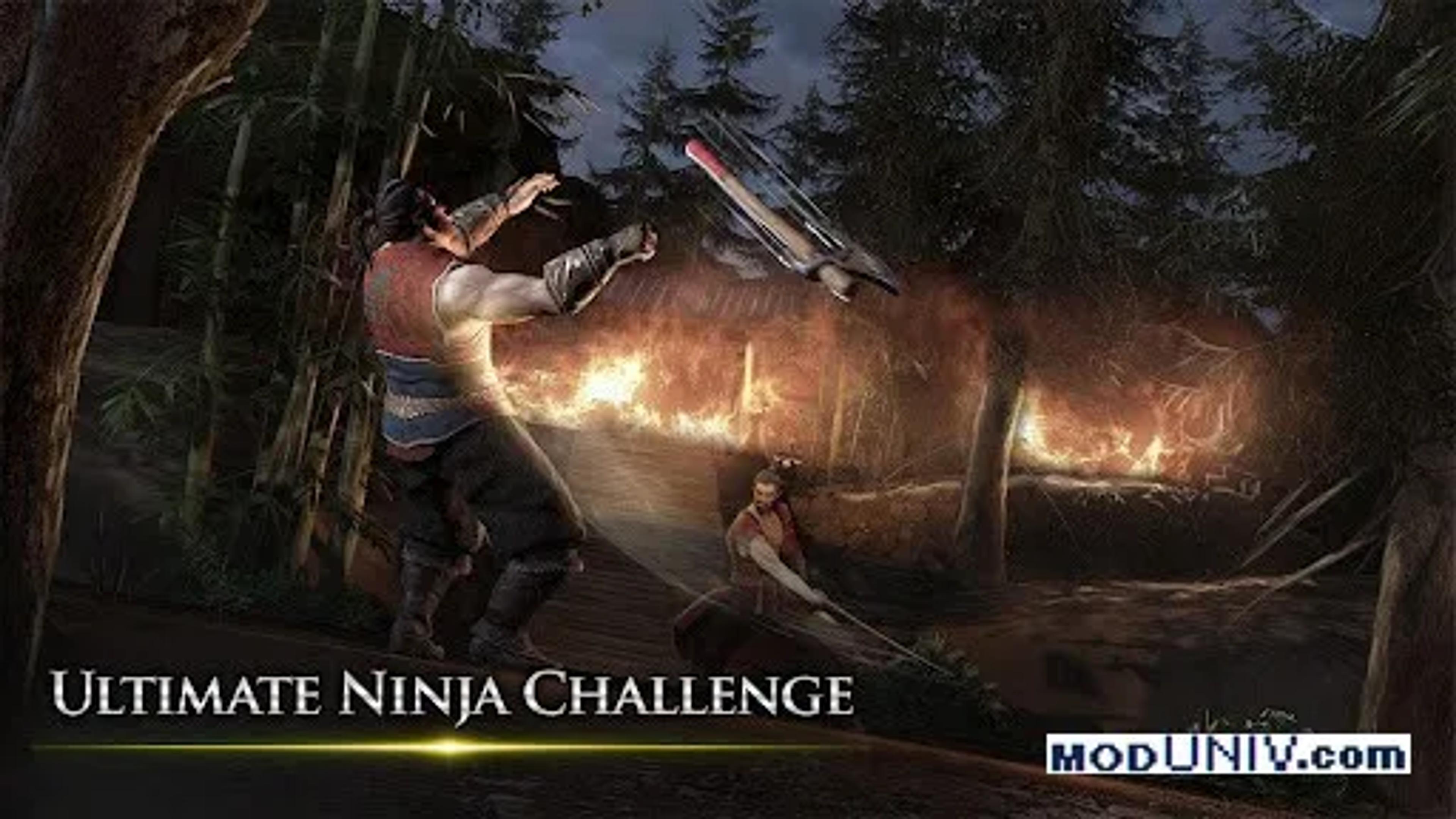 Captura de tela 3 de Takashi Ninja Samurai Game