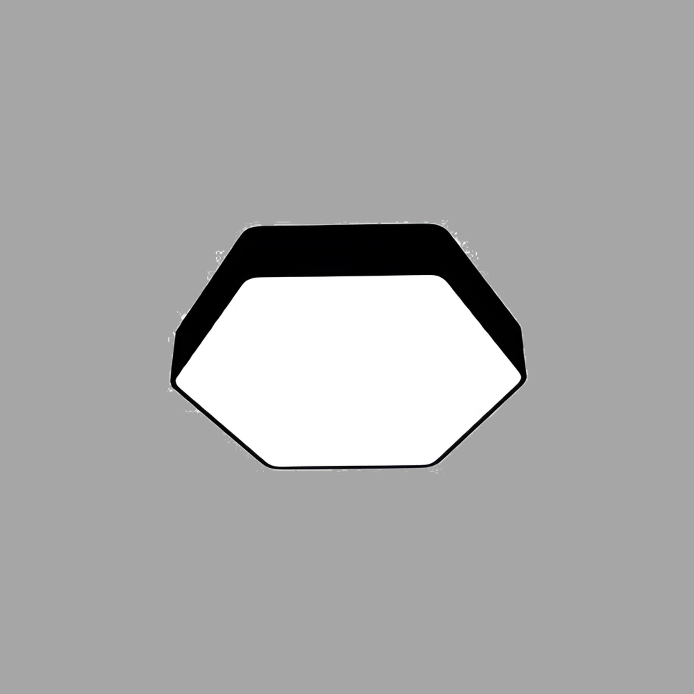 Hexon Bold Radius Davul Armatür 55W