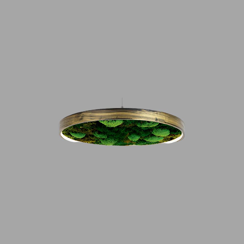 Verde Oval Moss Led Aydınlatma 30W