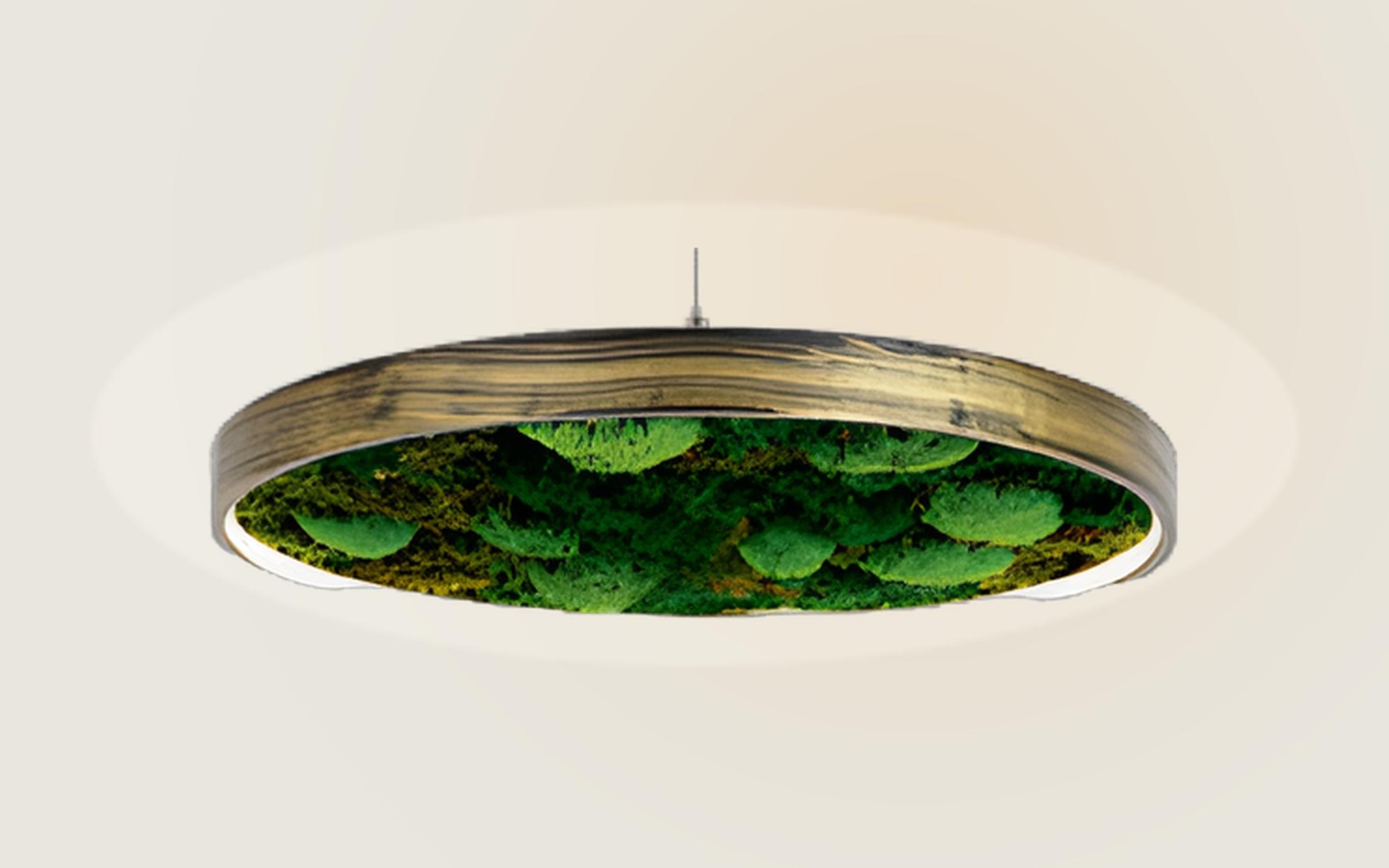 Moss LED Aydınlatma