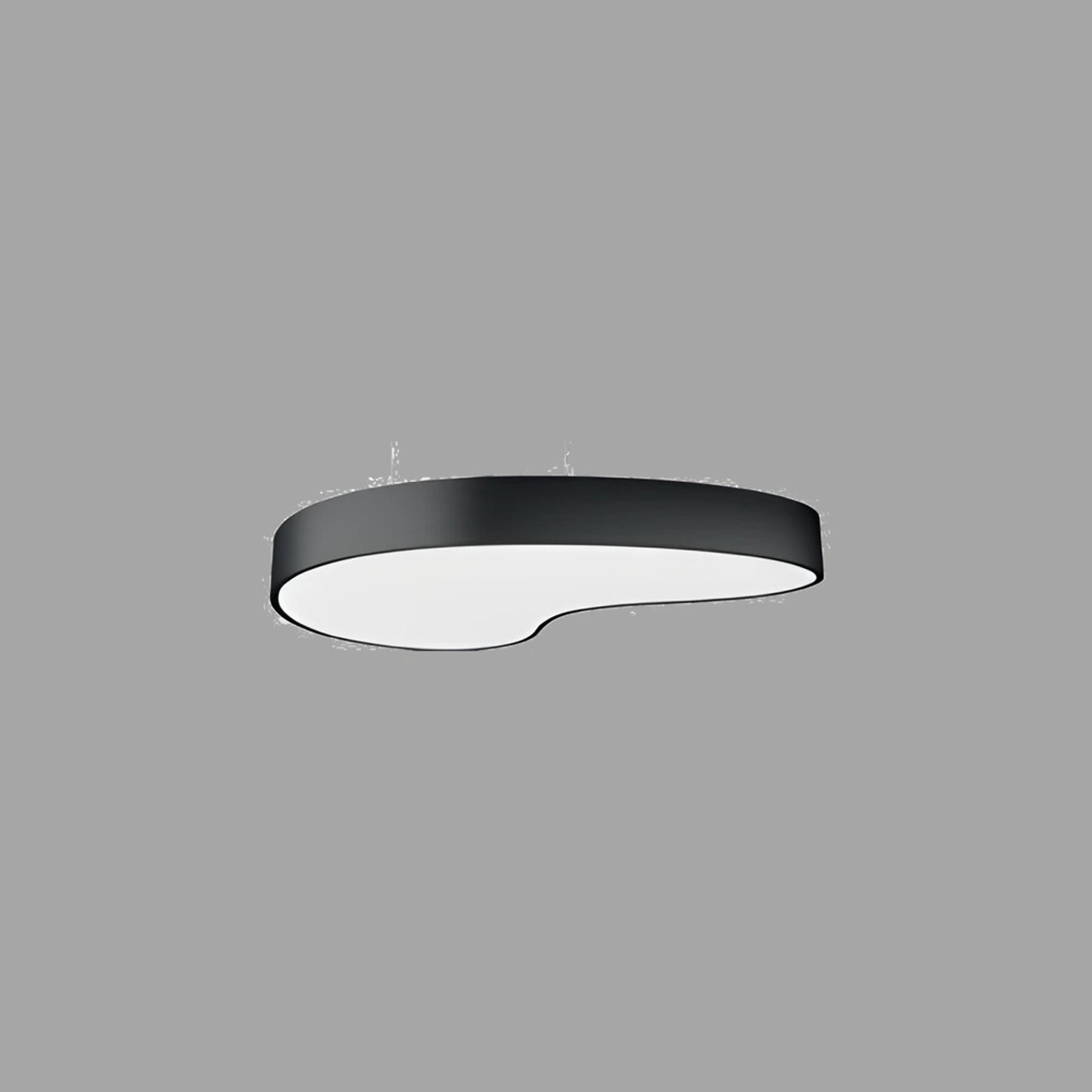 Nimbus Radius Davul Armatür 80W