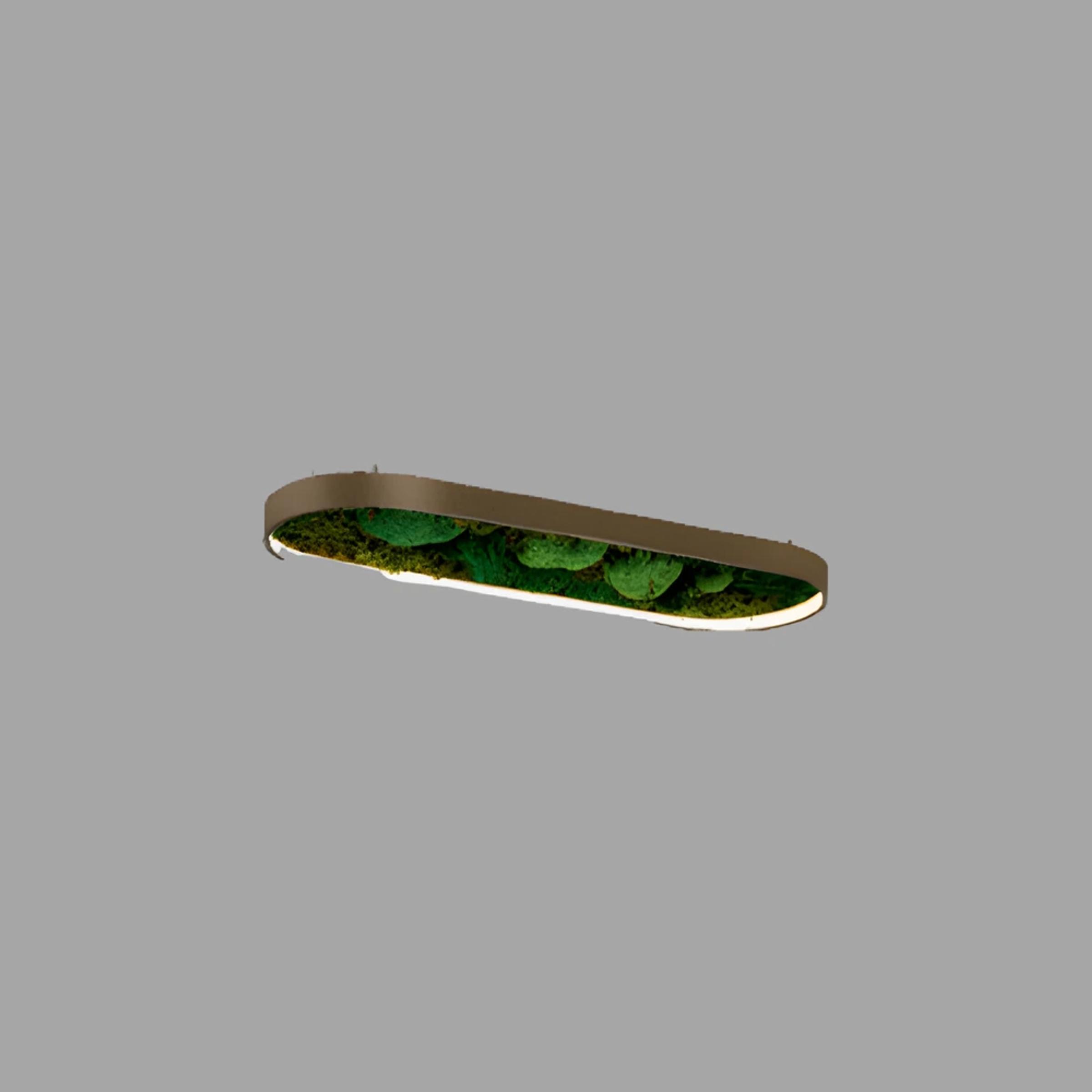 Verde Vintage Moss Led Aydınlatma 45W