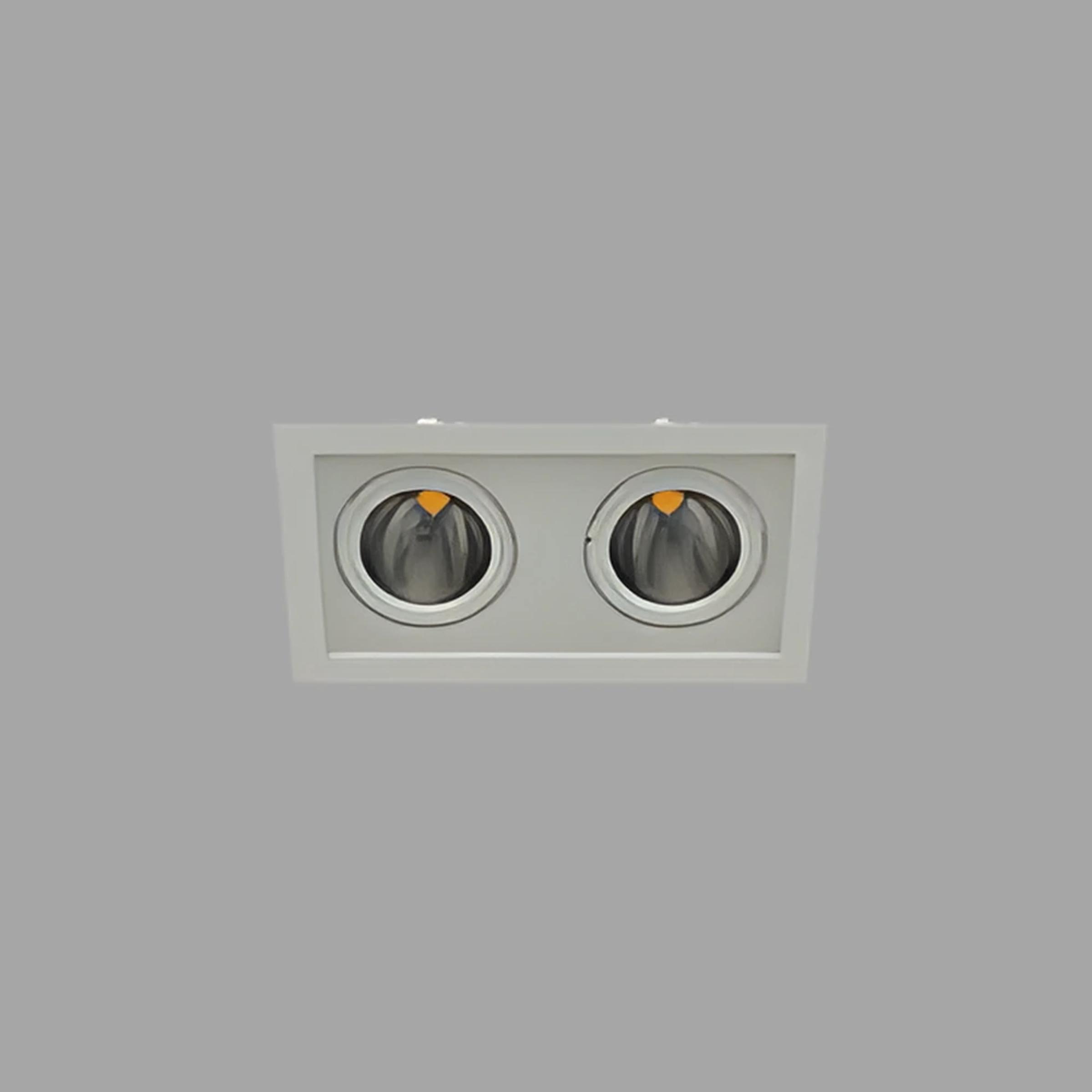 Cell Downlight & Spot 80W