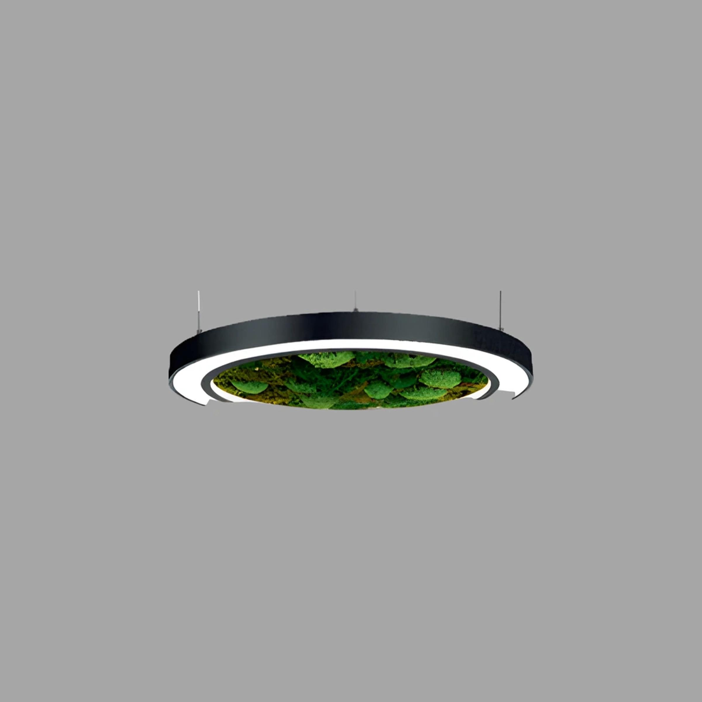 Verde Ring Moss Led Aydınlatma 150W