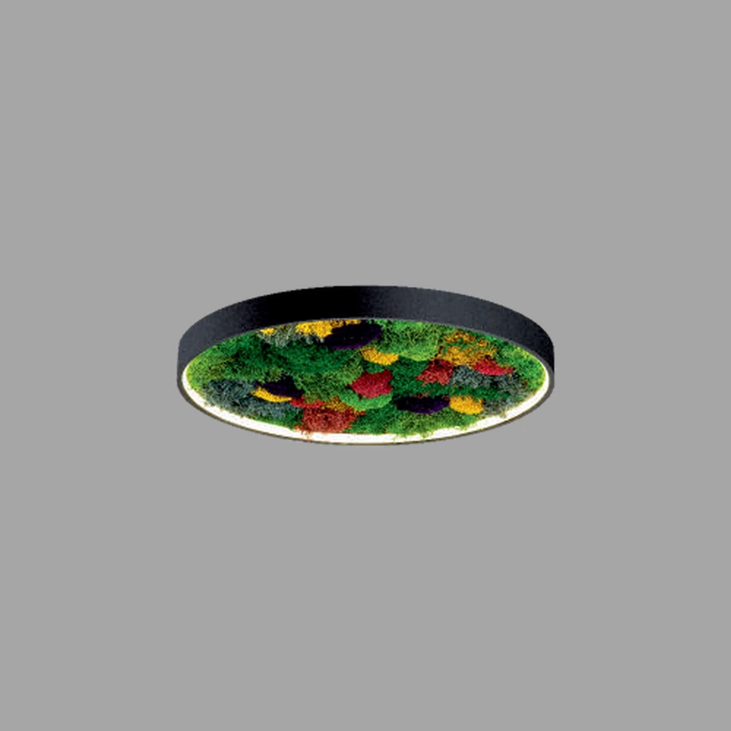 Flora Oval Moss Led Aydınlatma 30W
