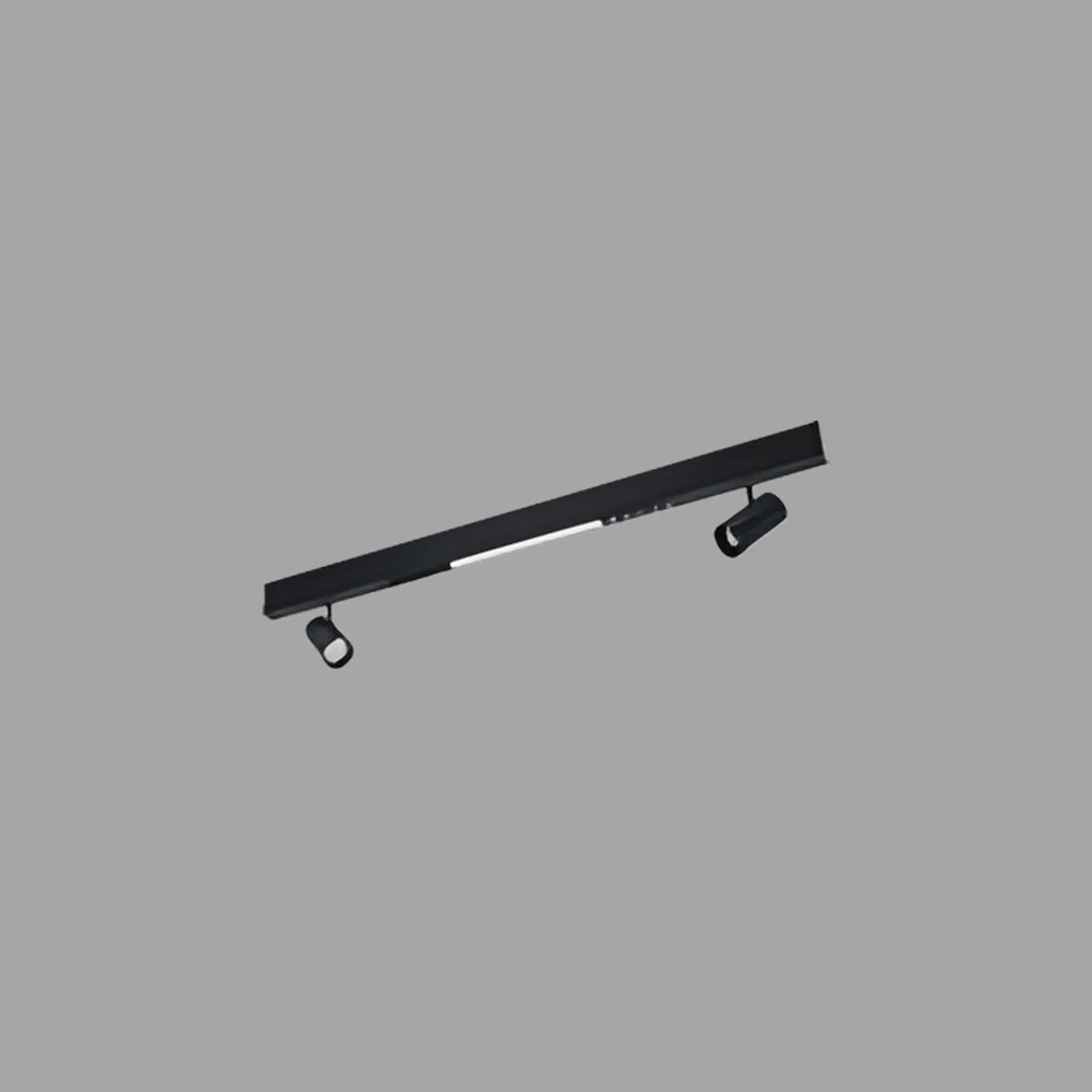 Salyut Block High Power Linear 40W
