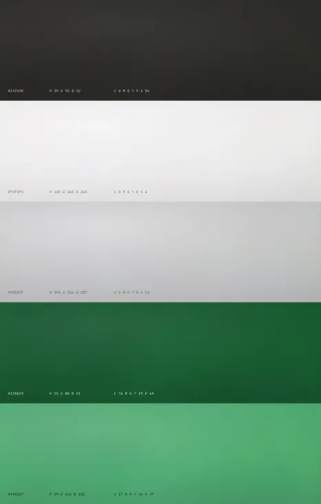 The Grey Goose palette in five bands, each labelled with its hex, RGB and CMYK values: near-black ink, off-white page, light grey, deep green and a lifted green