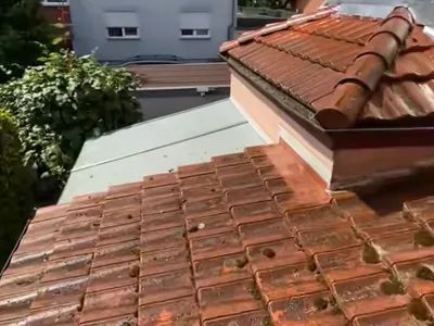 Dachreinigung (Vorher)