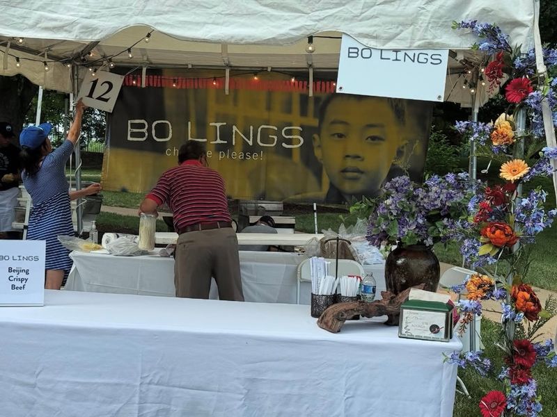 A Busy Summer for Bo Lings!