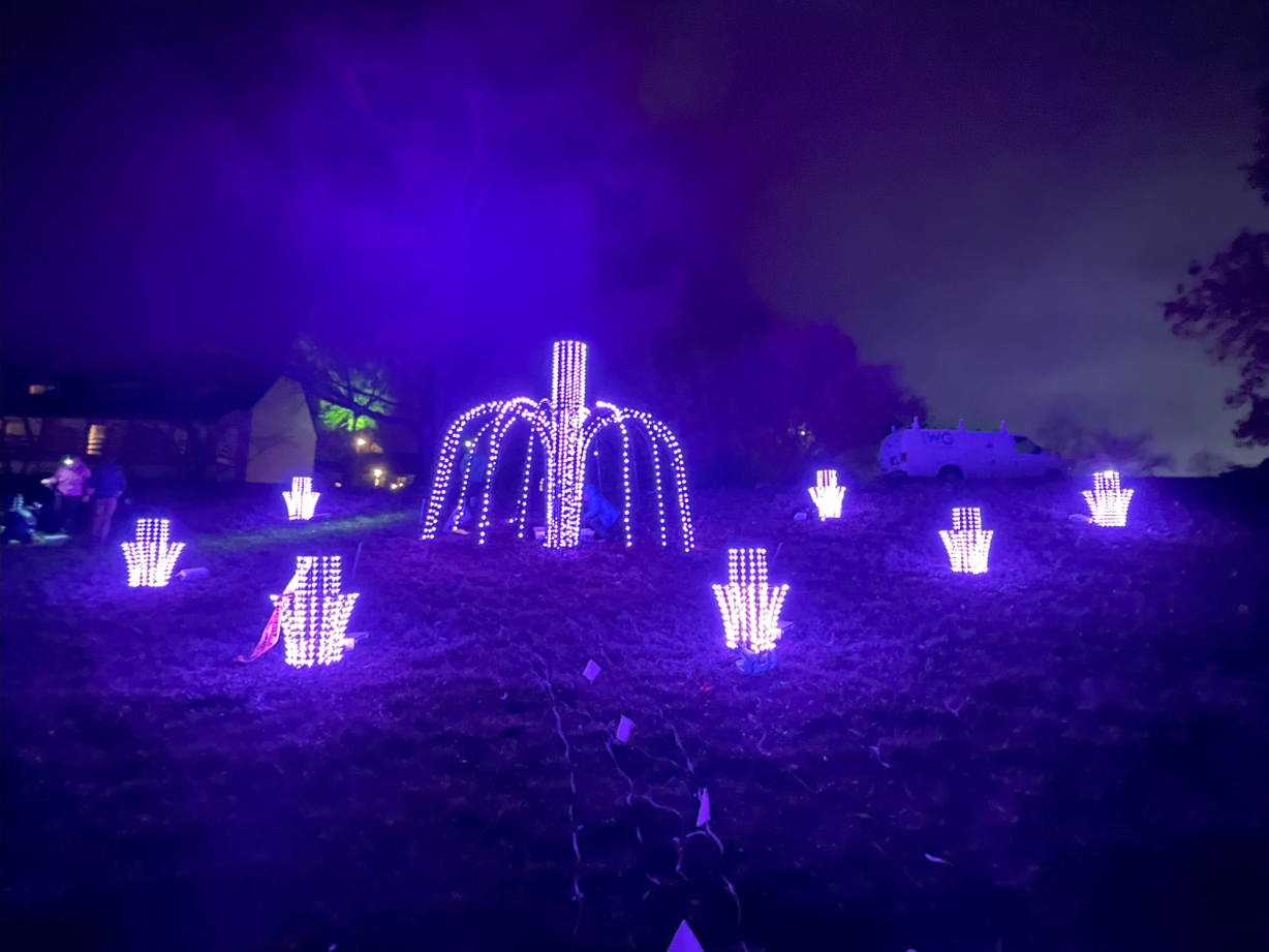 Twinkling winter wonders with Advatek SHOWTime™