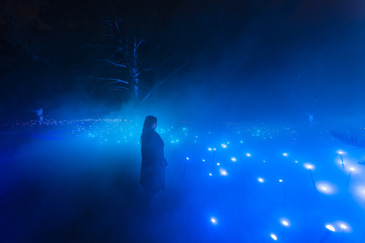 Breathtaking outdoor installations with PixLite® controllers
