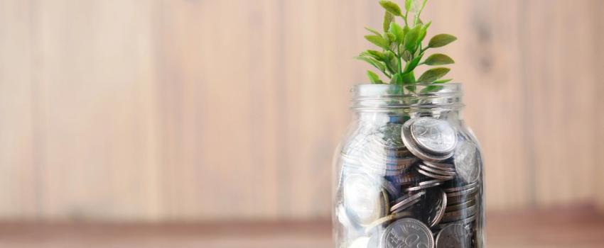 Investment in Sales and Marketing: The Fuel for Start-up Growth