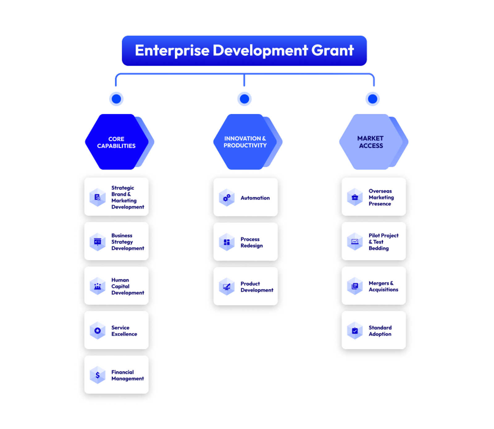 Here's an illustration to help you understand better the different types of grants available under the Enterprise Development Grant (EDG)